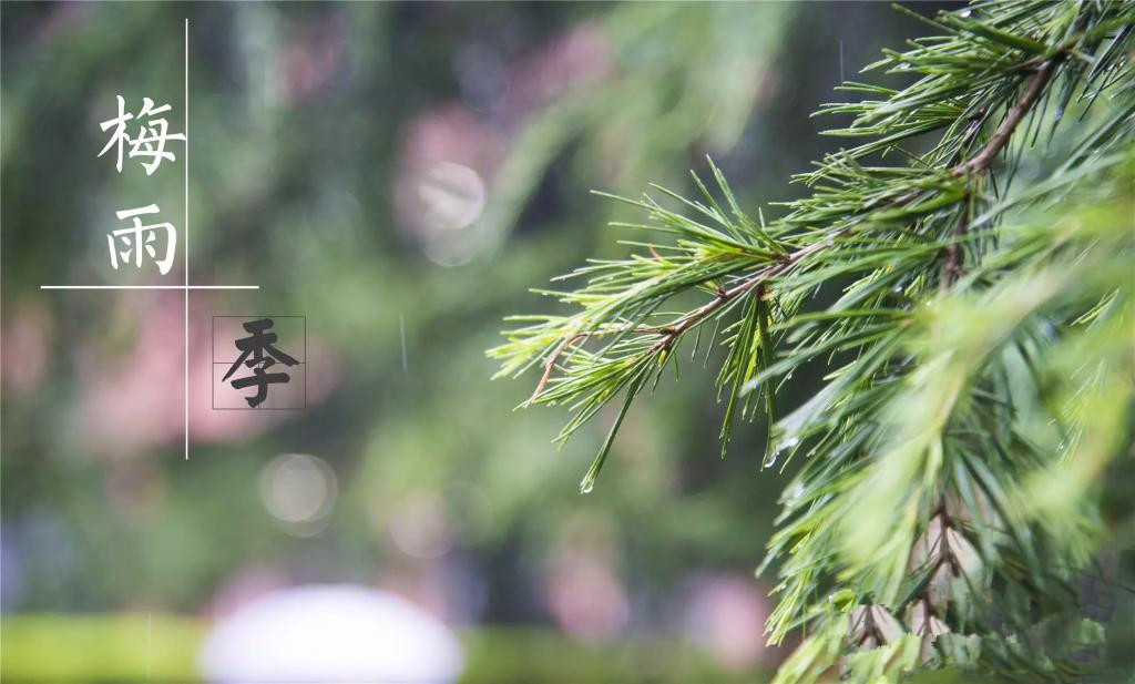 雨季到來(lái)，涂料施工需注意哪些問(wèn)題